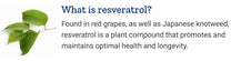 Life Extension Optimized Resveratrol, 90 Vegetarian Capsules