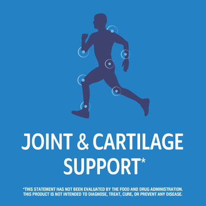 21st Century Arthri-Flex Advantage + D3 Joint Support Tablets, 120 Count
