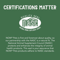 NOW Pet Health, L-Lysine Supplement, Powder, Formulated for Cats, NASC Certified, 8-Ounce