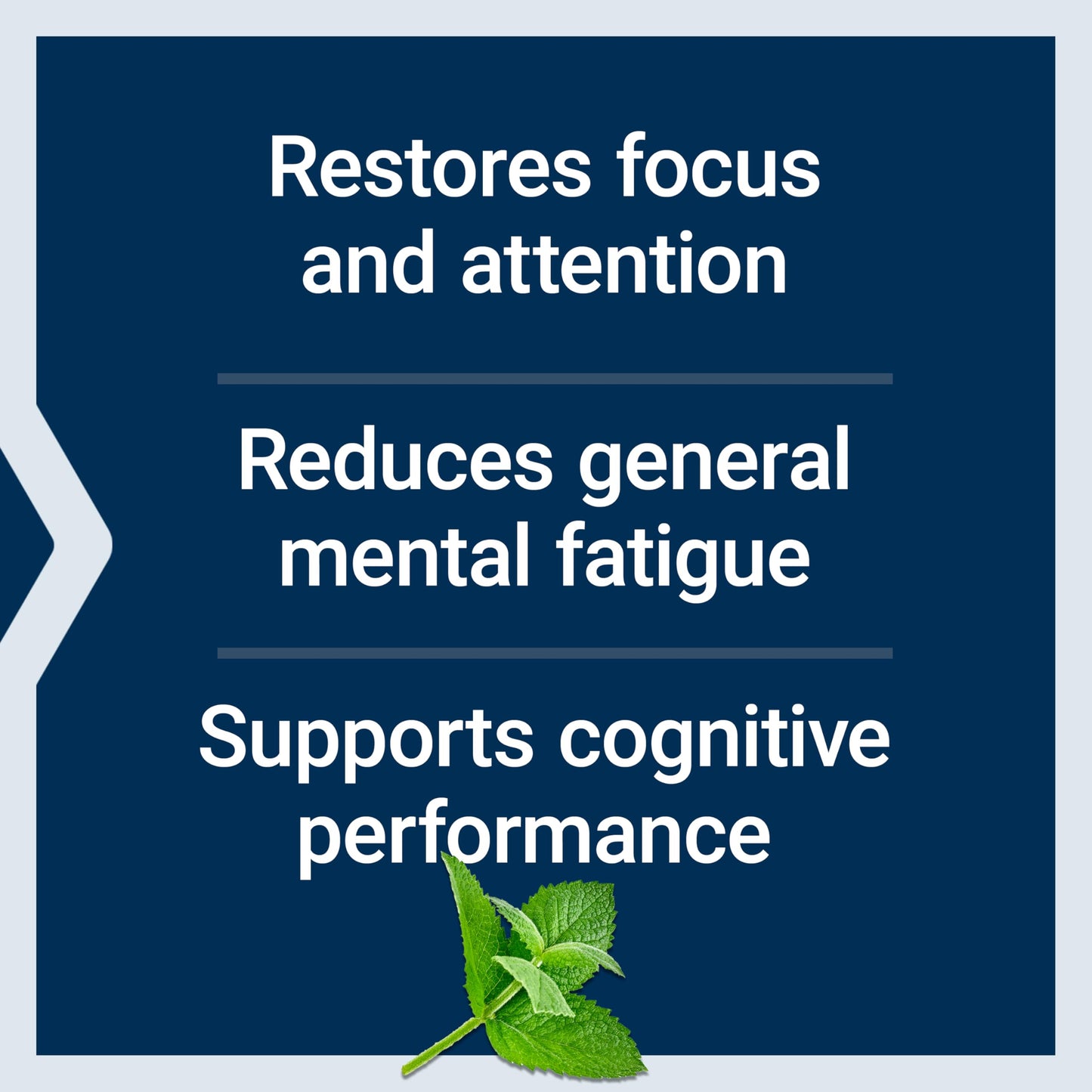 Life Extension Brain Fog Relief, Mango Leaf Extract, standardized Peppermint Oil, nootropic Brain Supplement for Clarity and Focus, Fast-Acting, Caffeine-Free, Gluten Free, Non-GMO, 30 softgels