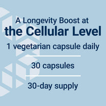 Life Extension Bio-Fisetin, Fisetin, galactomannans from Fenugreek Seed, Cellular Health, Cognitive Health, Longevity, Gluten-Free, Vegetarian, Non-GMO, 30 Vegetarian Capsules