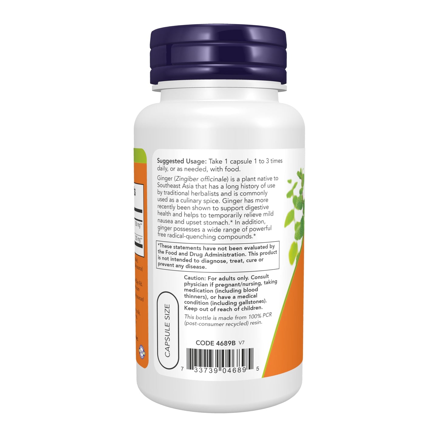 NOW Foods Supplements, Ginger Root Extract 250 mg, Temporary Relief of Upset Stomach*, Digestive Support*, 90 Veg Capsules