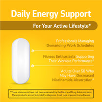 21st Century Niacinamide 500mg Prolonged Release, No Flush, 110 Count