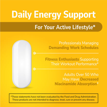21st Century Niacinamide 500mg Prolonged Release, No Flush, 110 Count