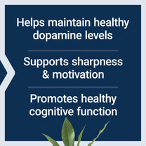 Life Extension Dopamine Advantage, Cognitive Health, Mental Sharpness, Motivation, Vitamin B12, phellodendron bark Powder, Gluten Free, Non-GMO, Vegetarian, 30 Capsules