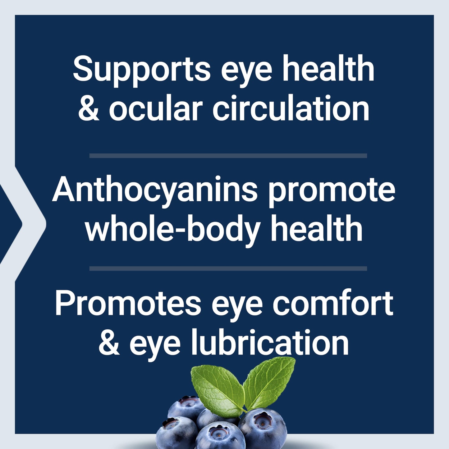 Life Extension Standardized European Bilberry Extract, 100 mg, 90 Capsules