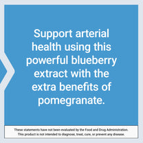 Life Extension Blueberry Extract and Pomegranate, 60 Capsules