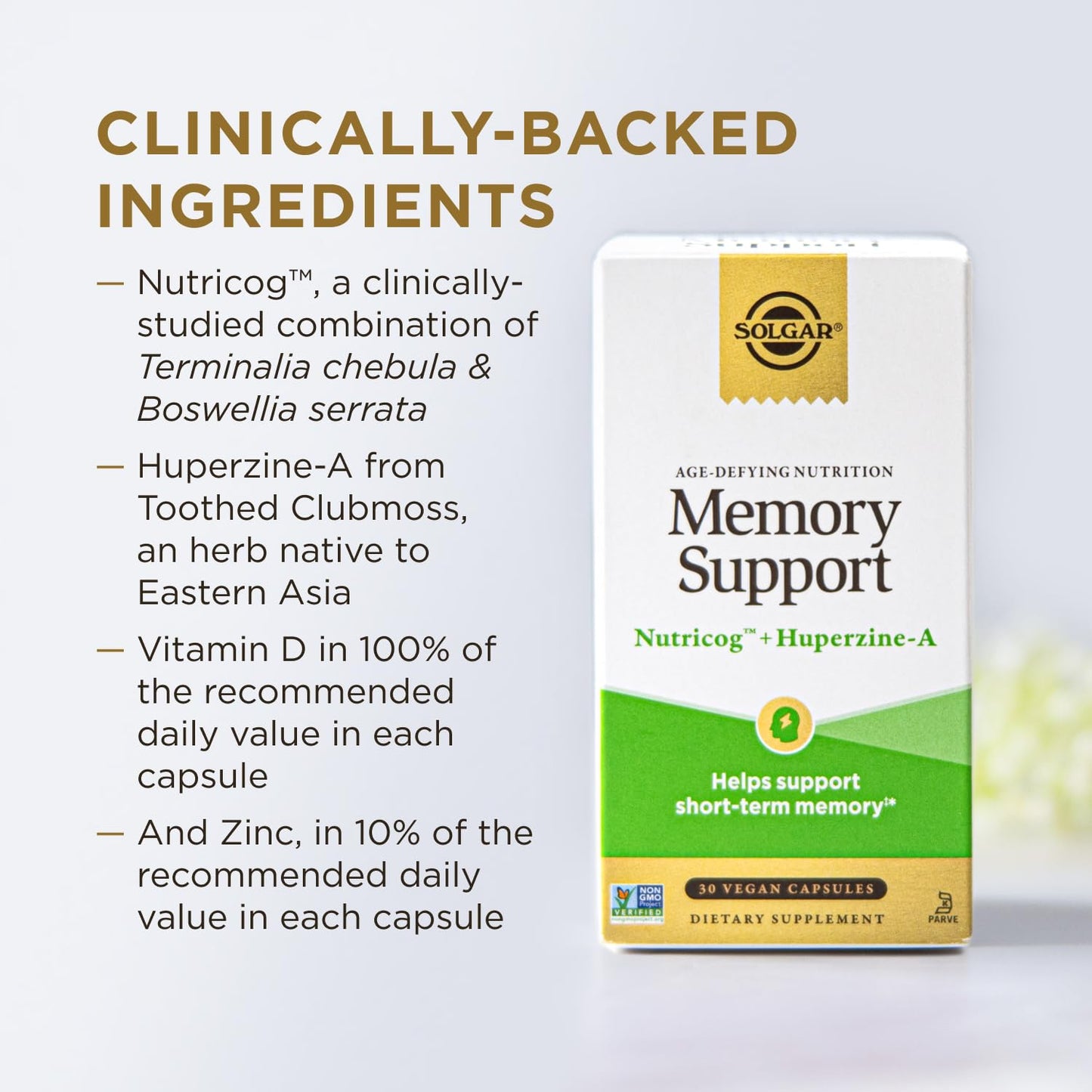 Solgar Memory Support Brain Dietary Supplement for Memory and Focus