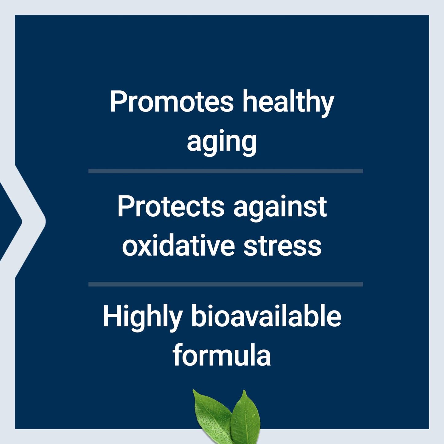 Life Extension Mega L-Ergothioneine, Healthy Aging Amino Acid, antioxidant, Powerful 25 mg dose, L-ergothioneine, Gluten-Free, Non-GMO, Vegetarian, 30 Capsules