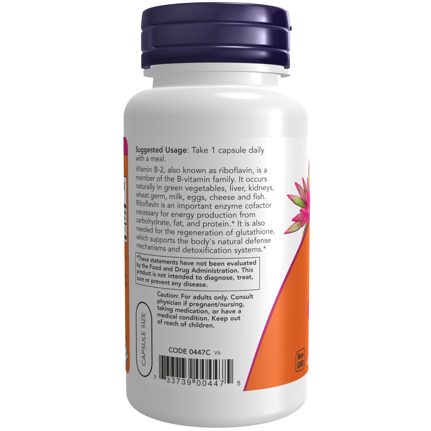 NOW Supplements, Vitamin B-2 (Riboflavin) 100 mg, Energy Production*, 100 Veg Capsules