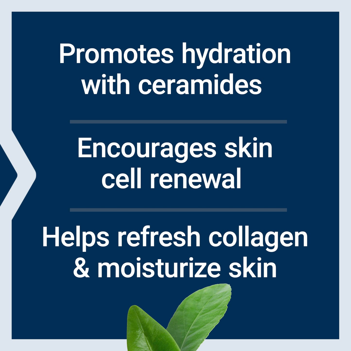 Life Extension Skin Care Collection Day Cream, retinyl palmitate, rice bran ceramides, shea butter, green tea, daytime nourishment to regenerate collagen & moisturize skin, 1.65 oz (47 g)