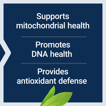 Life Extension Chlorophyllin, antioxidant & DNA Health Support, Gluten-Free, Non-GMO, Vegetarian, 100 Vegetarian Capsules