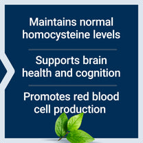 Life Extension Vitamin B12 Methylcobalamin, Nerve Health Supplement, Cognitive Support, Energy Vitamin, methylcobalamin B12, 5 mg, Quick-Dissolving, Gluten-Free, Non-GMO, Vegetarian, 60 lozenges