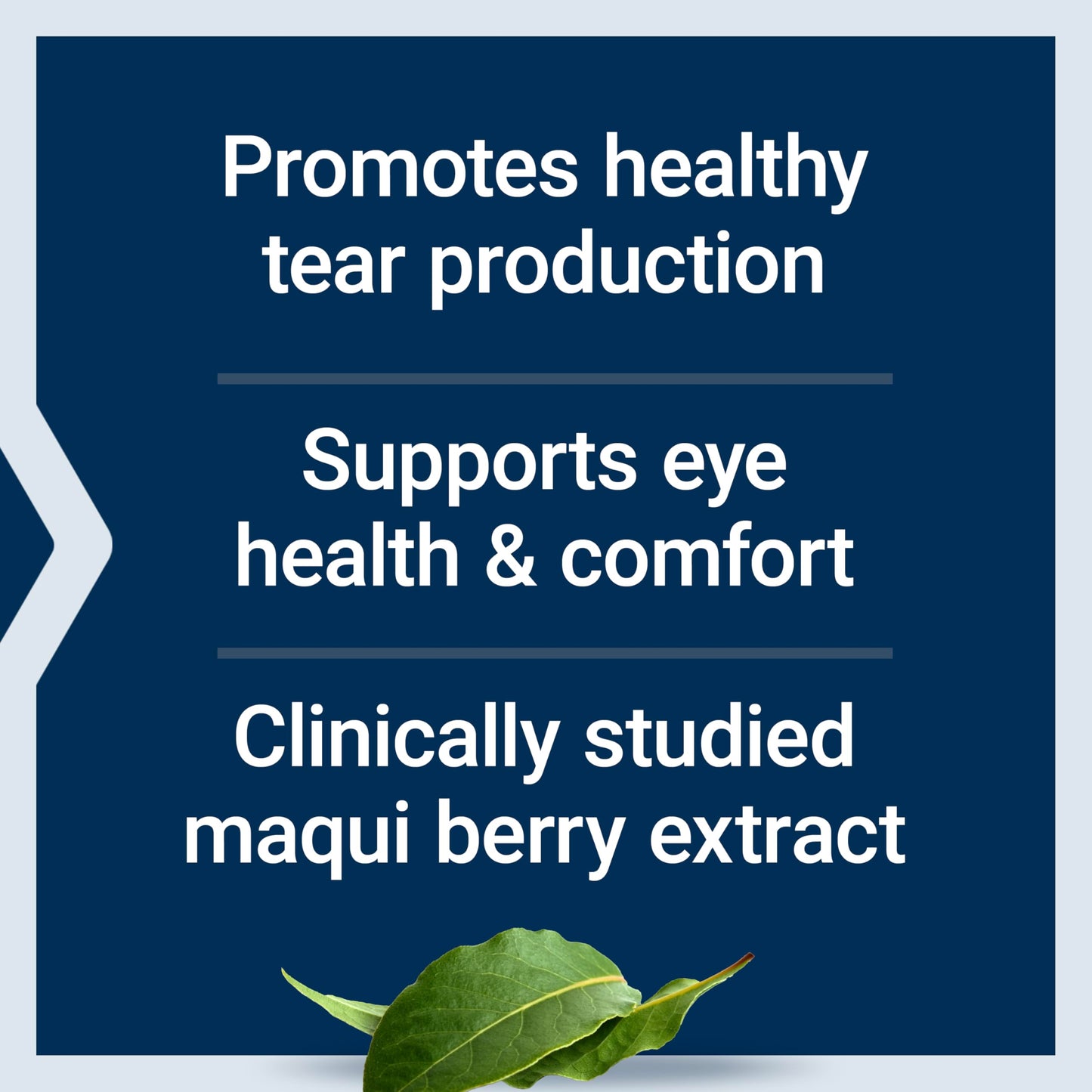 Life Extension Tear Support with MaquiBright®, 60 mg, maqui berry extract for dry eyes, supports eye health, encourages tear production, gluten-free, non-GMO, 1 daily, vegetarian, 30 Count (Pack of 1)