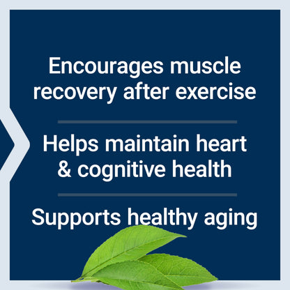 Life Extension Taurine Powder – Healthy Cardiovascular Support, Promotes Brain Health, Healthy Aging, and Muscle and Exercise Recovery – Gluten-Free, Non-GMO, Vegetarian – 300 Grams