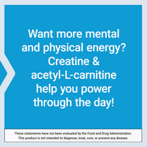 Life Extension Creatine Acetyl-L-Carnitine Energy Plus, Energy Support Supplement, creatine monohydrate, Acetyl-L-carnitine, Gluten-Free, Non-GMO, Vegetarian, 30 Servings