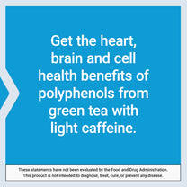 Life Extension Lightly Caffeinated Mega Green Tea Extract, Camellia sinensis Extract with Concentrated EGCG polyphenol Content, Gluten-Free, Non-GMO, Vegetarian, 100 Capsules