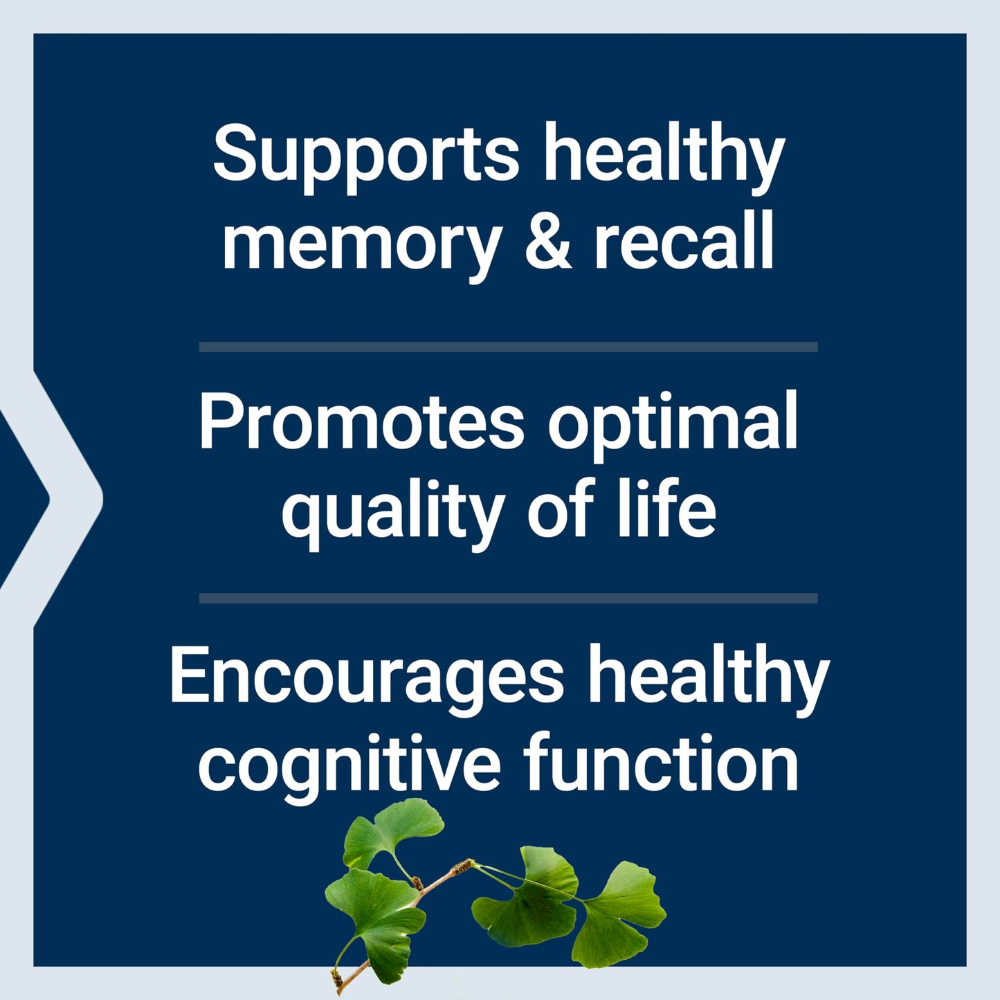 Life Extension Ginkgo Biloba Certified Extract, 120 mg, 365 Capsules