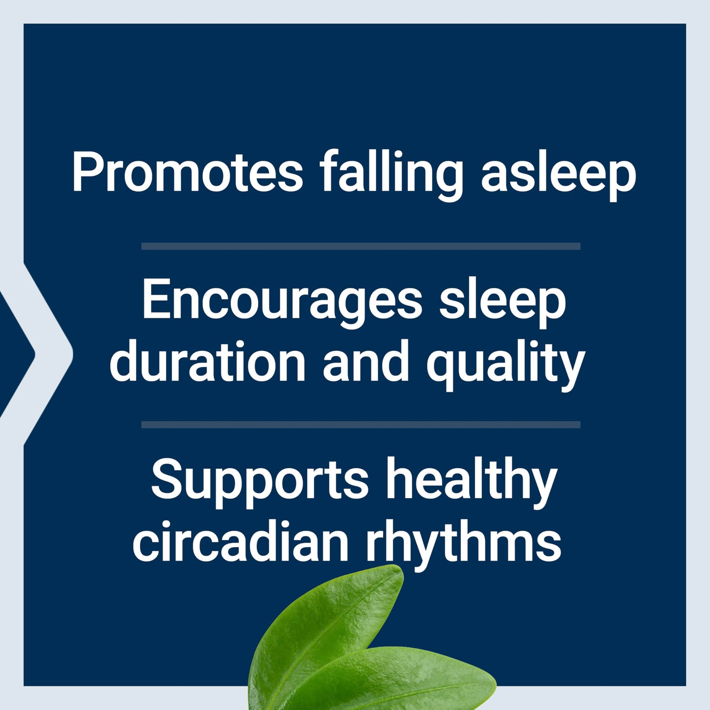 Life Extension Melatonin 6 Hour Timed Release, 3 mg, Extended-Release Formula for Optimal Sleep Support, Healthy circadian Rhythms, Cellular Defense, Gluten-Free, Non-GMO, Vegetarian, 60 Tablets