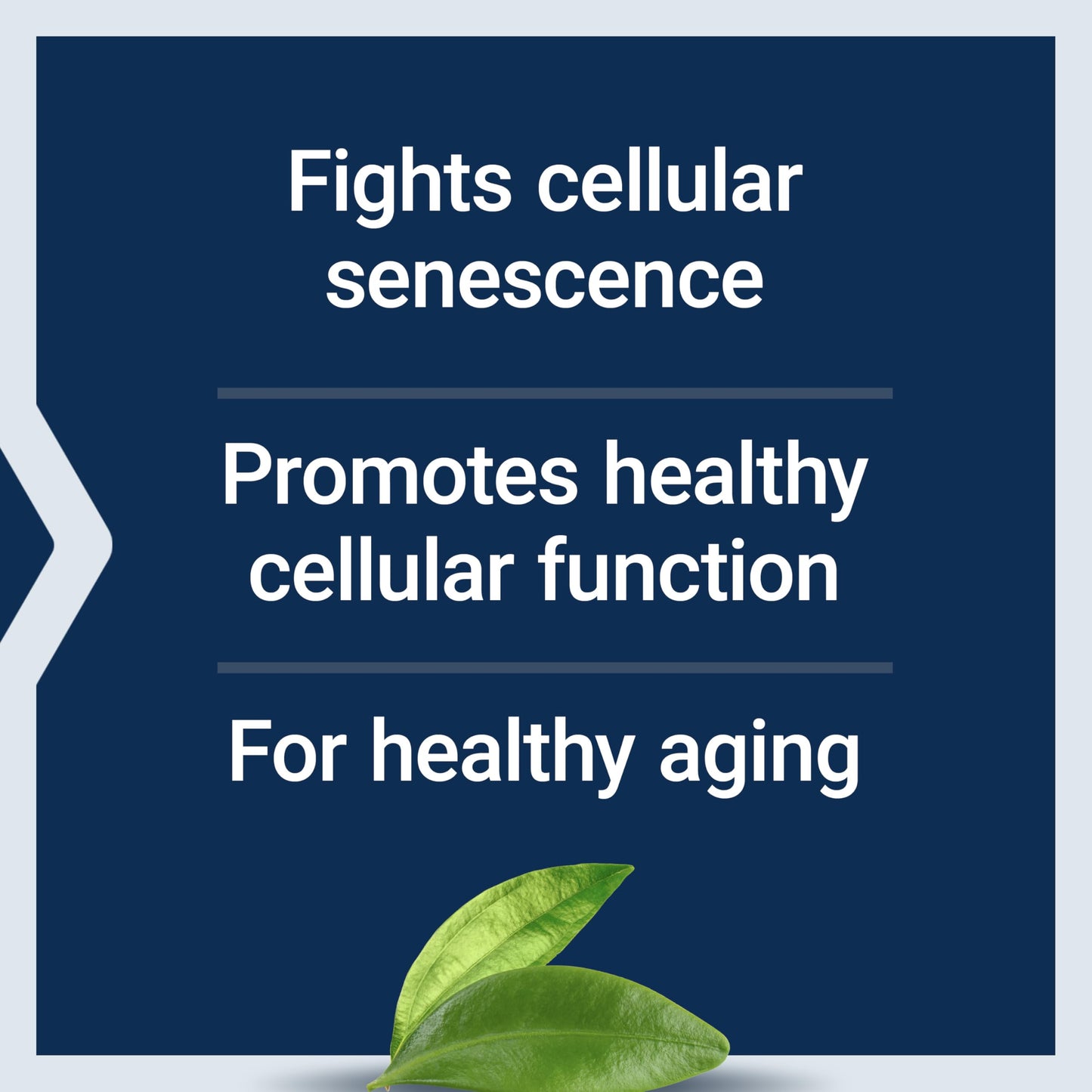 Life Extension GEROPROTECT Ageless Cell, 30 Softgels