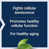 Life Extension GEROPROTECT Ageless Cell, 30 Softgels
