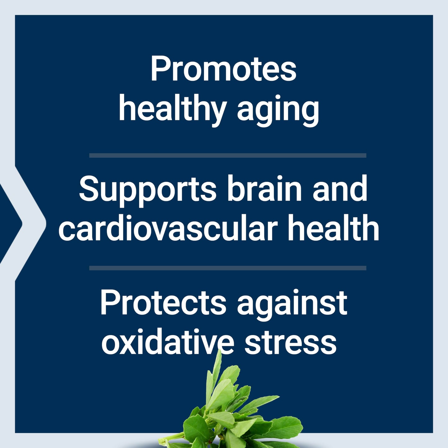 Life Extension Resveratrol Elite, Trans-resveratrol, Healthy Aging, Cardiovascular Health, Brain Health, oxidative Stress, Gluten-Free, Non-GMO, Vegetarian, 30 Capsules