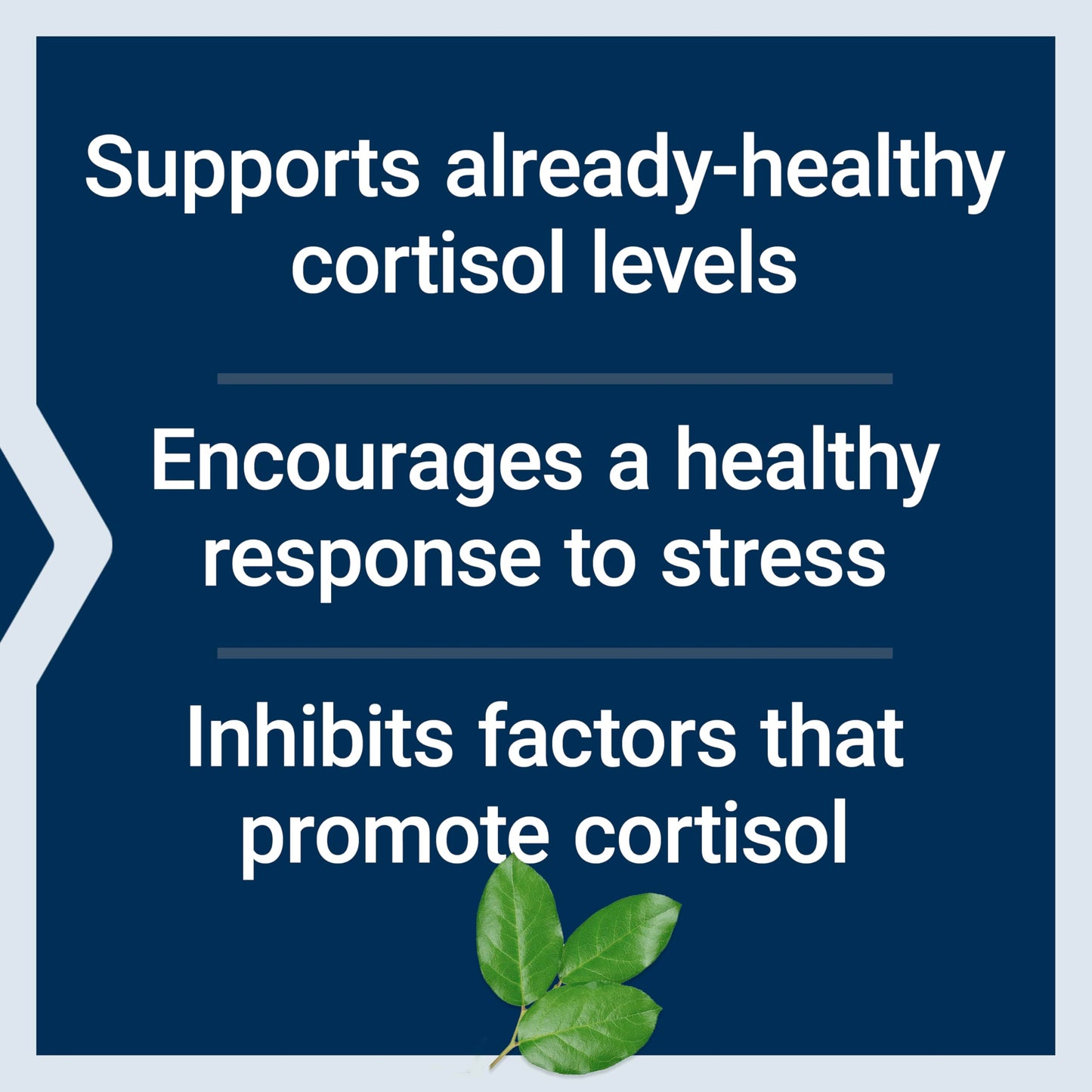 Life Extension Cortisol-Stress Balance, 30 Capsules