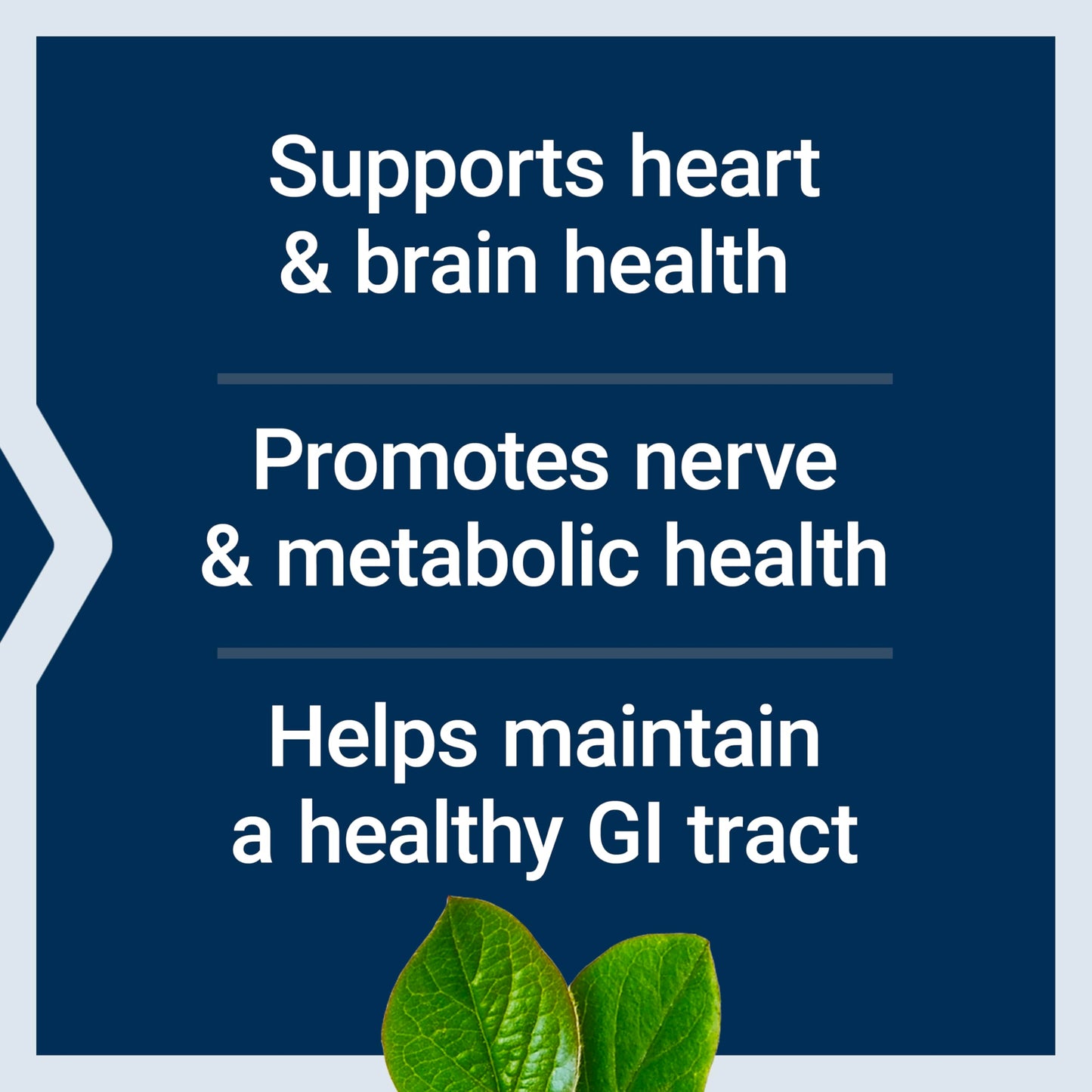 Life Extension BioActive Folate & Vitamin B12, Promotes Heart, Brain & GI Tract Health, Non-GMO, Gluten-Free, Vegetarian, 90 Capsules
