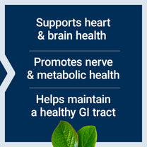 Life Extension BioActive Folate & Vitamin B12, Promotes Heart, Brain & GI Tract Health, Non-GMO, Gluten-Free, Vegetarian, 90 Capsules