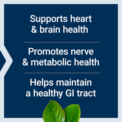 Life Extension BioActive Folate & Vitamin B12, Promotes Heart, Brain & GI Tract Health, Non-GMO, Gluten-Free, Vegetarian, 90 Capsules