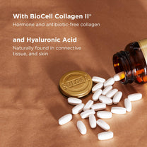 Solgar Glucosamine Hyaluronic Acid Chondroitin MSM, 60 Tablets