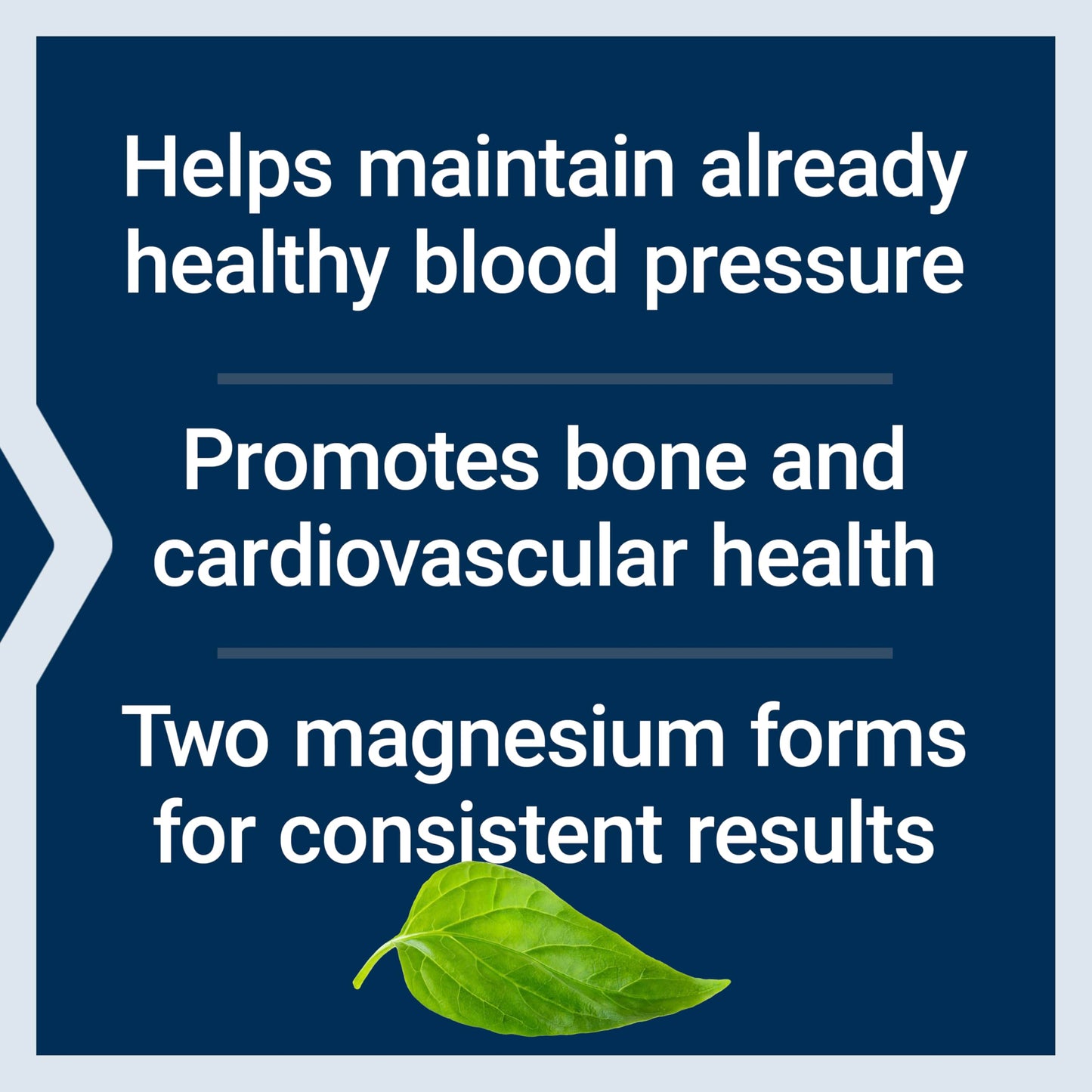 Life Extension Extend-Release Magnesium,prolonged Heart & Bone Health Support,Cardiovascular & Blood Pressure Health Support,bioavailable Formula,Gluten-Free,Non-GMO,Vegetarian,60 Capsules,(Pack of 2)
