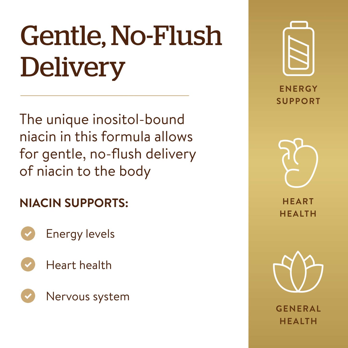 Solgar No-Flush Niacin 500 mg, 250 Vegetable Capsules - No-Flush Delivery