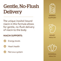 Solgar No-Flush Niacin 500 mg, 250 Vegetable Capsules - No-Flush Delivery