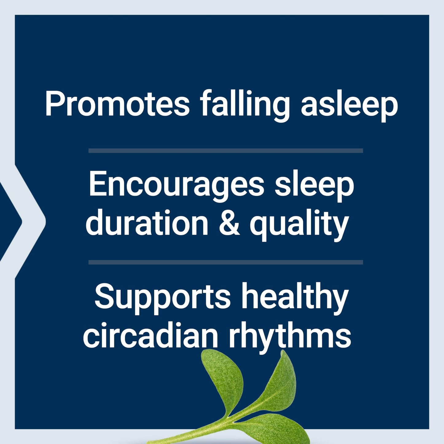 Life Extension Quiet Sleep Melatonin, 5 mg, Powerful Sleep Support, Healthy circadian Rhythms, Cellular Defense, Gluten-Free, Non-GMO, Vegetarian, 60 Capsules