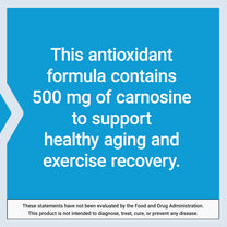 Life Extension Carnosine, 60 Capsules