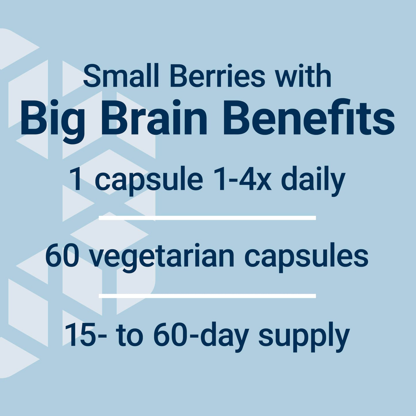 Life Extension Blueberry Extract Capsules, supports cognitive & memory health, helps maintain already-healthy cholesterol levels, fights oxidative stress, gluten-free, non-GMO, vegetarian, 60 capsules
