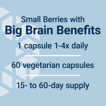 Life Extension Blueberry Extract Capsules, supports cognitive & memory health, helps maintain already-healthy cholesterol levels, fights oxidative stress, gluten-free, non-GMO, vegetarian, 60 capsules