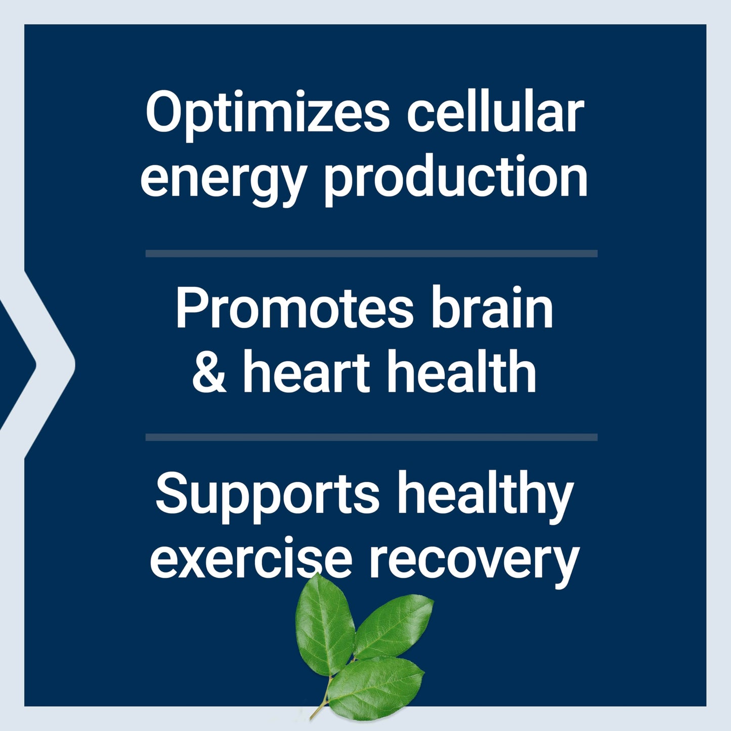 Life Extension Optimized Carnitine, 60 Capsules