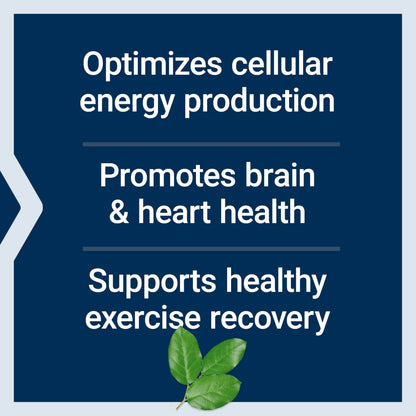 Life Extension Optimized Carnitine, 60 Capsules