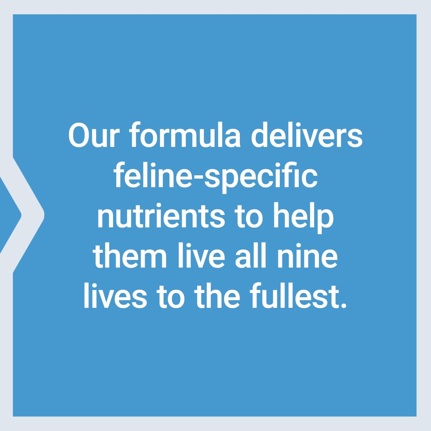 Life Extension Cat Mix, cat Food Supplements, Heart Health, probiotics, L-arginine, Taurine, B12, folic Acid, Vitamin C, Vitamin E, Rosemary, Nutrient Absorption, Gluten-Free, Non-GMO, 85 Servings