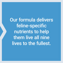 Life Extension Cat Mix, cat Food Supplements, Heart Health, probiotics, L-arginine, Taurine, B12, folic Acid, Vitamin C, Vitamin E, Rosemary, Nutrient Absorption, Gluten-Free, Non-GMO, 85 Servings