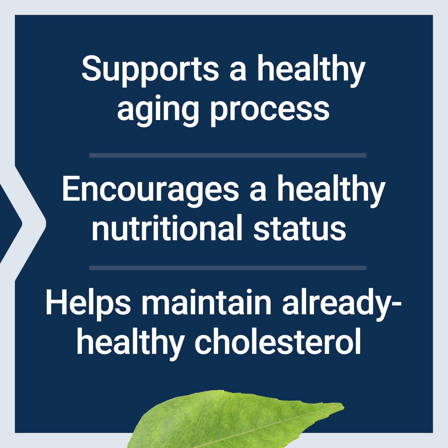 Life Extension FLORASSIST® Probiotic Youthful Gut, Healthy Aging Supplement, postbiotic and probiotic Blend, Heart and Gut Health, Non-GMO, 1-Daily, Gluten-Free, Vegetarian, 30 Capsules