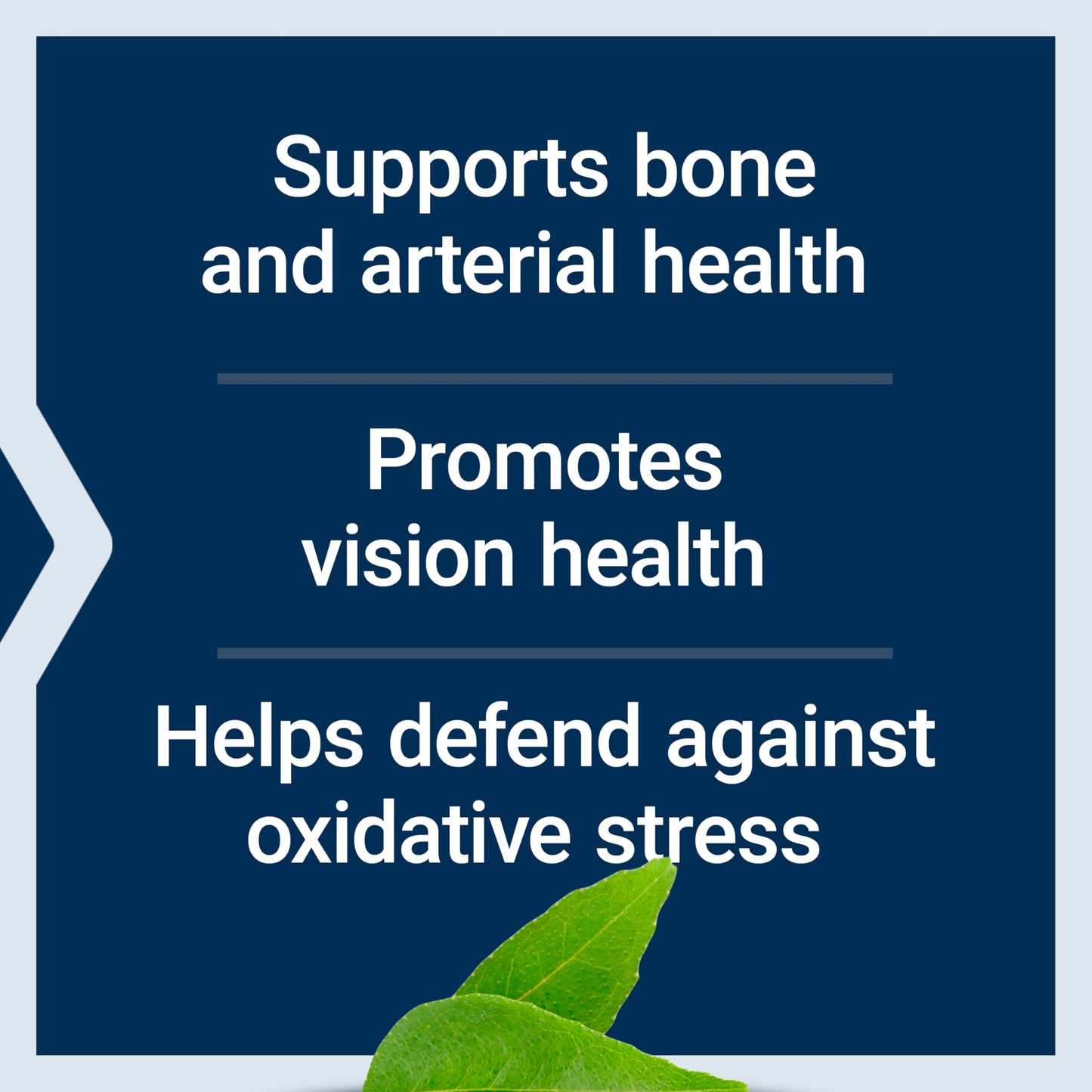 Life Extension Once-Daily Health Booster, 60 Softgels