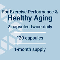 Life Extension Creatine Capsules – Creatine Monohydrate – Promotes Strength, Lean Muscle, Healthy Endurance – Non-GMO, Gluten-Free – 120 Capsules