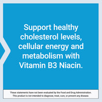 Life Extension Vitamin B3 Niacin, Heart Health, Cholesterol & Energy Support, Gluten-Free, Non-GMO, 100 Capsules