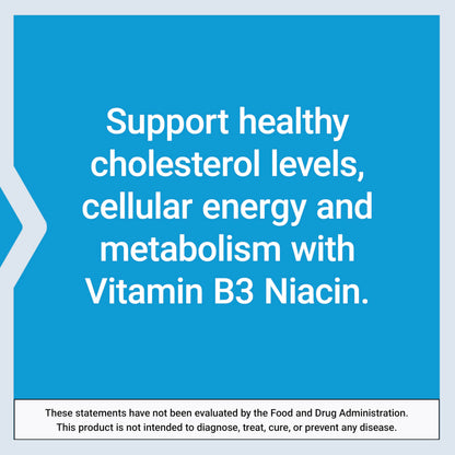 Life Extension Vitamin B3 Niacin, Heart Health, Cholesterol & Energy Support, Gluten-Free, Non-GMO, 100 Capsules