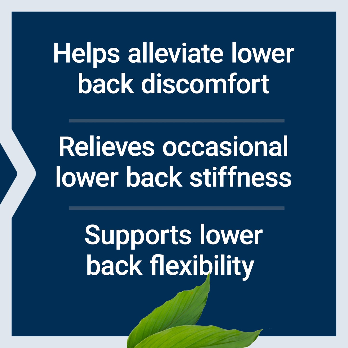Life Extension Lower Back Relief, for Occasional Back Stiffness, Comfort and Flexibility, Ginger, Chaste Tree, White Willow bark, Non-GMO, Gluten-Free, Vegetarian, 60 Capsules
