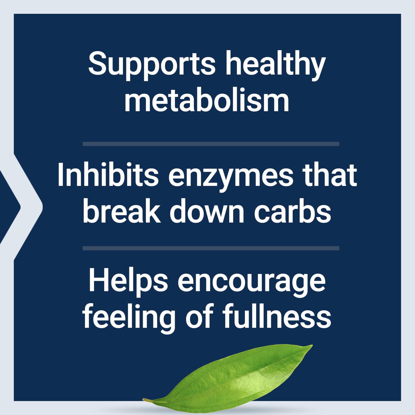 Life Extension CinSulin with InSea2 and Crominex 3+, 90 Capsules