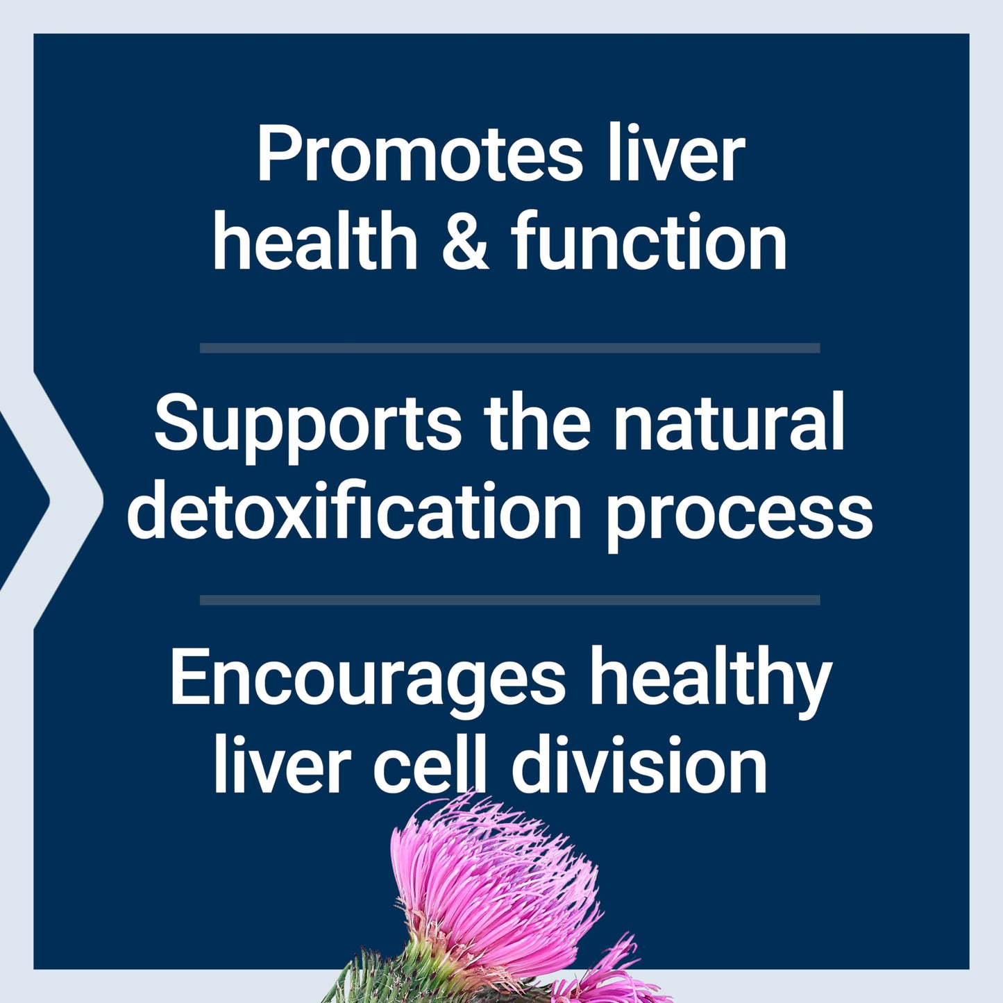 Life Extension Advanced Milk Thistle, 60 Softgels